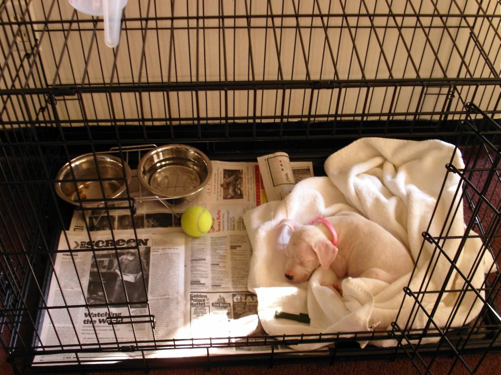 A close up of a cage