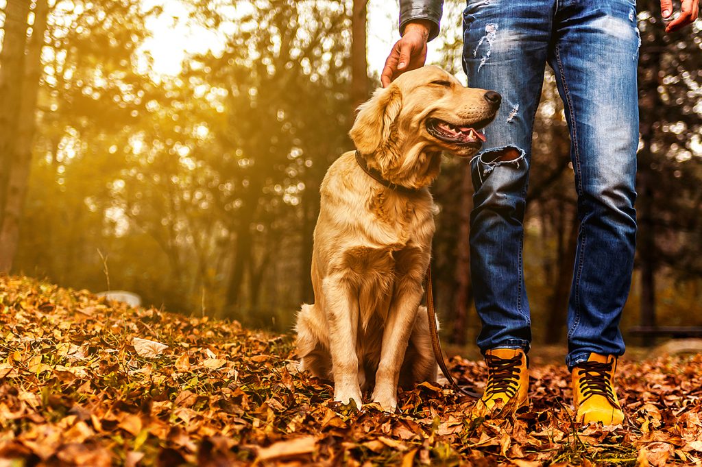 A person standing next to a dog
