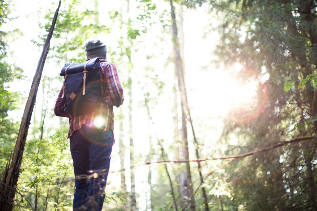 A person standing next to a forest