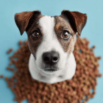Dr Marty's Freeze Dried Dog Food