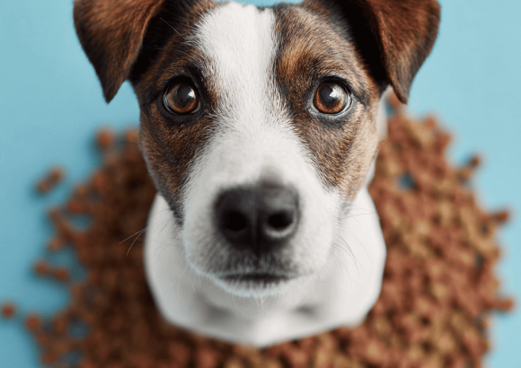 Dr Marty's Freeze Dried Dog Food